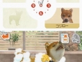 Nintendogs : plus d'images
