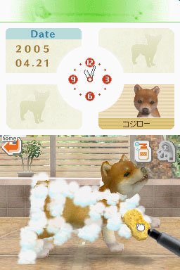 Nintendogs : plus d'images