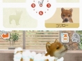 Nintendogs : plus d'images