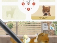 Nintendogs : plus d'images