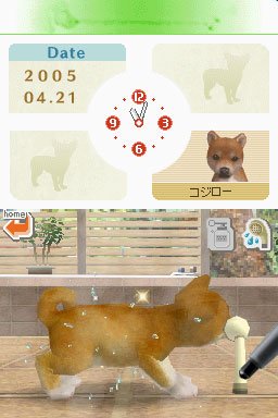 Nintendogs : plus d'images