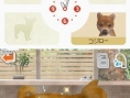 Nintendogs : plus d'images