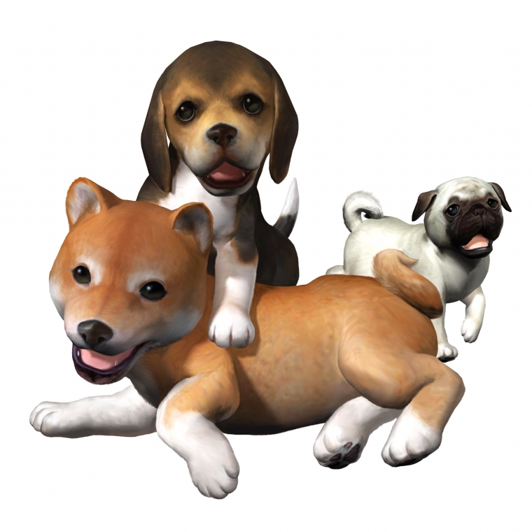 Nintendogs lève la patte