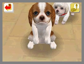 Nintendogs lève la patte