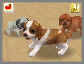 Nintendogs lève la patte