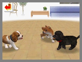 Nintendogs lève la patte