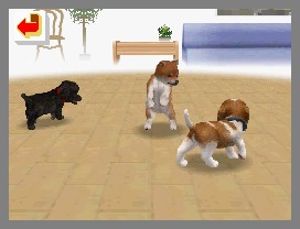 Nintendogs lève la patte
