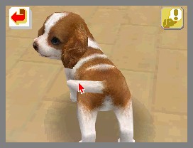 Nintendogs lève la patte