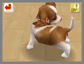 Nintendogs lève la patte