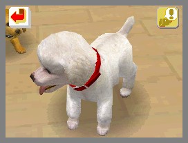Nintendogs lève la patte