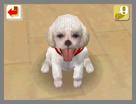 Nintendogs lève la patte
