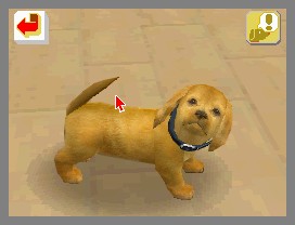 Nintendogs lève la patte