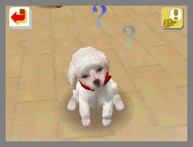 Nintendogs lève la patte
