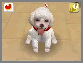 Nintendogs lève la patte