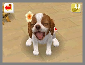 Nintendogs lève la patte