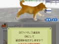 Nintendogs en 24 images