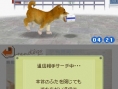 Nintendogs en 24 images