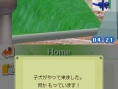 Nintendogs en 24 images