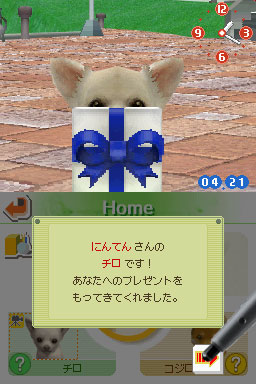 Nintendogs en 24 images