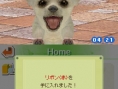 Nintendogs en 24 images