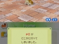 Nintendogs en 24 images