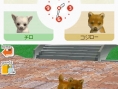 Nintendogs en 24 images