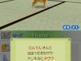 Nintendogs en 24 images