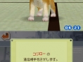 Nintendogs en 24 images