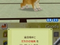 Nintendogs en 24 images