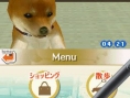 Nintendogs : plus d'images