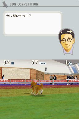 Nintendogs : plus d'images