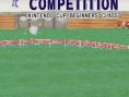 Nintendogs : plus d'images