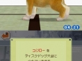 Nintendogs : plus d'images