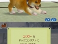 Nintendogs : plus d'images