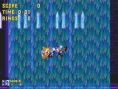 Sonic Mega Collection + en images