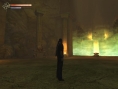 Plus d'images pour Shade