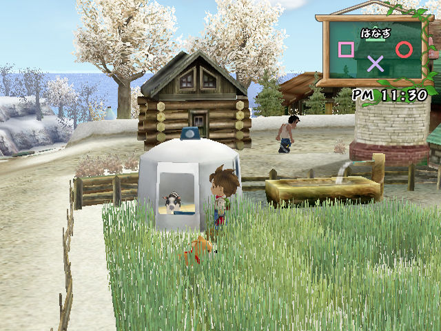 Harvest Moon se dévoile en images