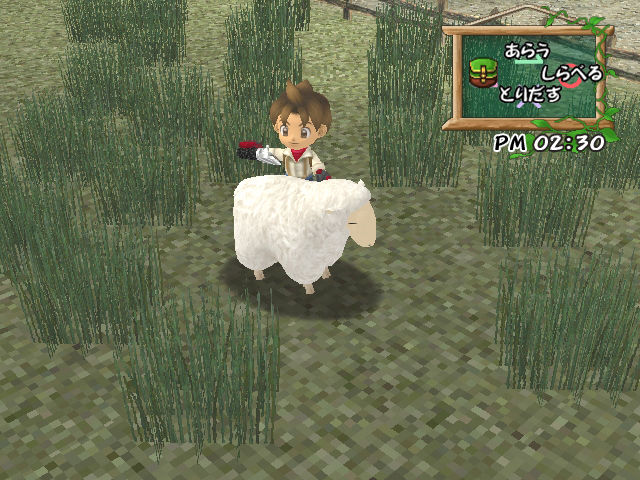 Harvest Moon se dévoile en images