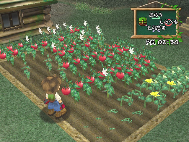 Harvest Moon se dévoile en images