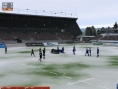 Pro Rugby Manager 2005 se dévoile