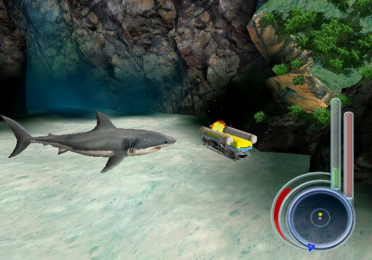 Un requin rôde dans le coin
