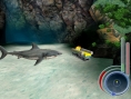 Un requin rôde dans le coin