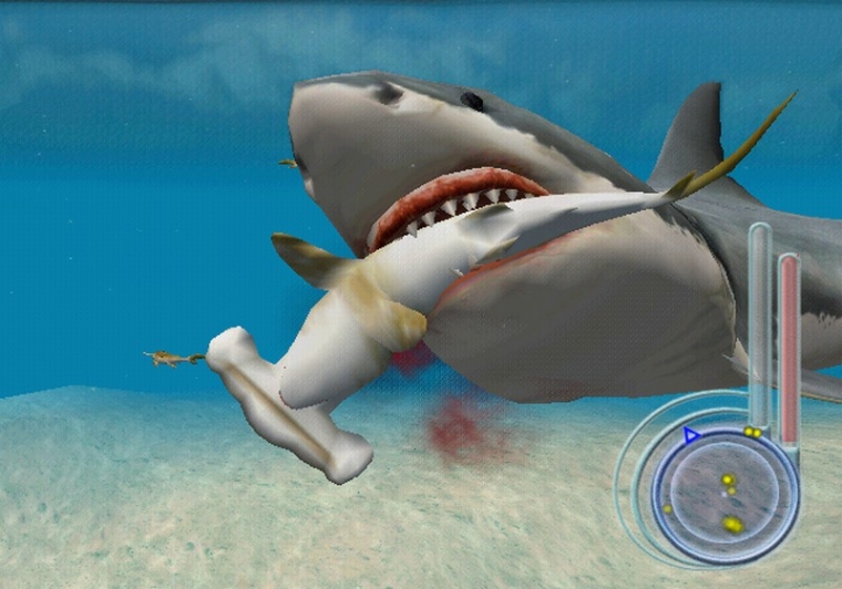 Un requin rôde dans le coin