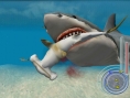 Un requin rôde dans le coin
