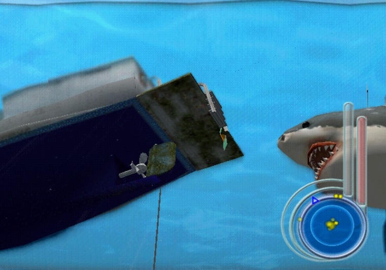 Un requin rôde dans le coin