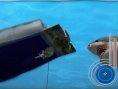 Un requin rôde dans le coin