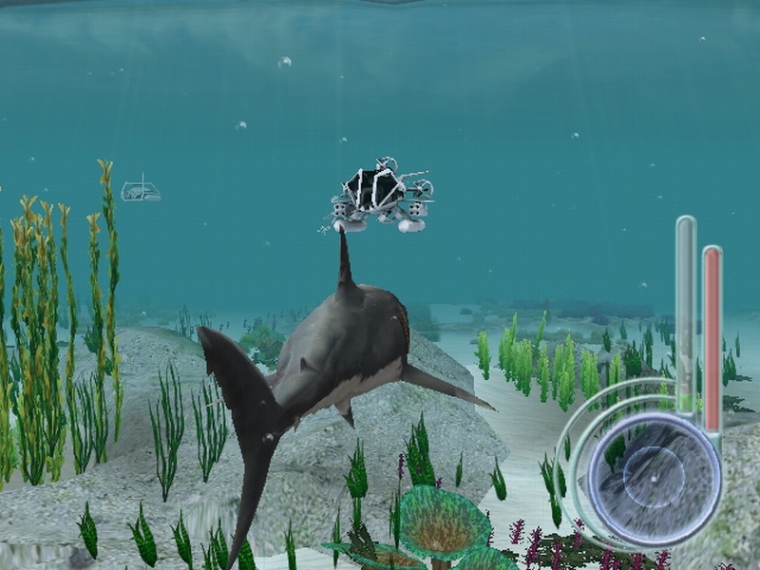 Un requin rôde dans le coin