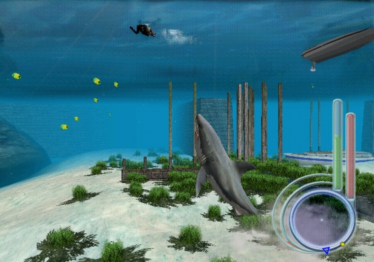Un requin rôde dans le coin