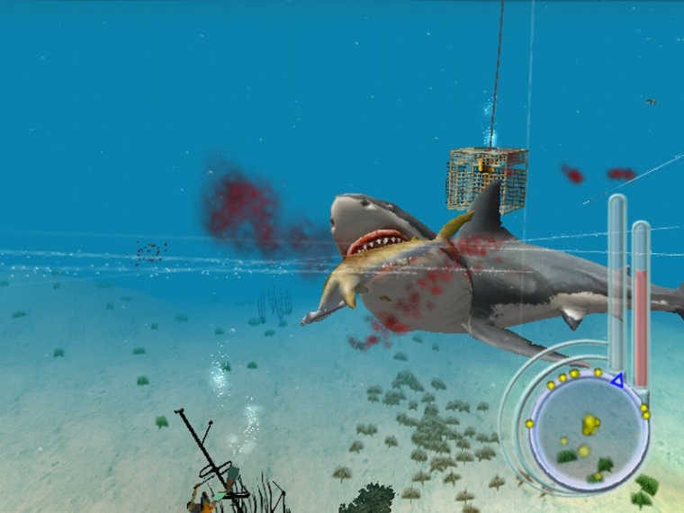 Un requin rôde dans le coin