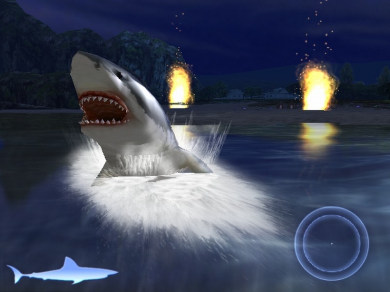Un requin rôde dans le coin